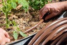 How to Select the Best Drip Pipe for your Garden