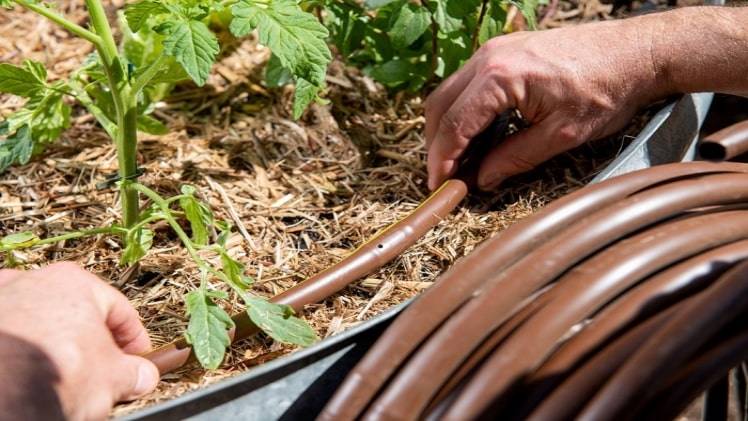 How to Select the Best Drip Pipe for your Garden