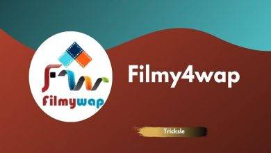 How to Download the Filmy4Wap App For Android