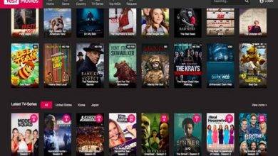 Movies Found Online The Best Place to Download Hindi Movies