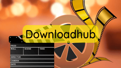 The Benefits of DownloadHub