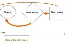 800px Retroactive Interference