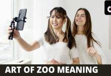 Art of the Zoo