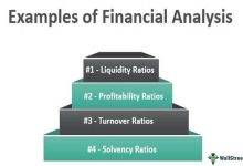 Examples of Financial Analysis 1