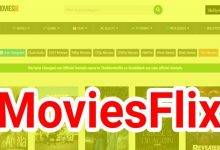 MoviesFlix South Bollywood Hindi Movies Download