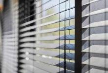 blinds for windows