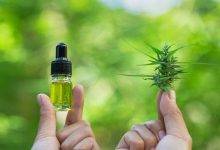 The Ultimate Guide to Purchasing Medical Cannabis What to Know Before You Buy
