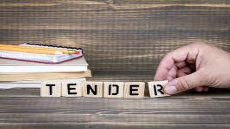 What are government tenders